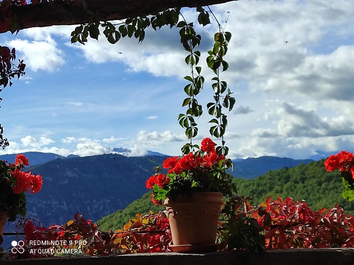 Casa Rural Vilaspasa, Alquiler Integro Gotarta Exteriör bild