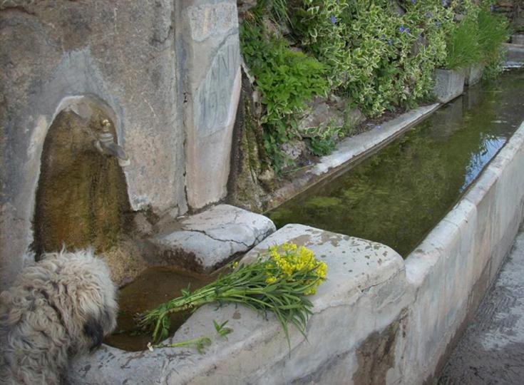 Casa Rural Vilaspasa, Alquiler Integro Gotarta Exteriör bild